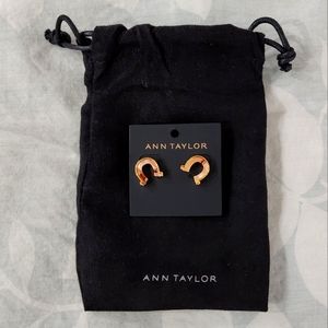 Ann Taylor Omega Horseshoe Earrings